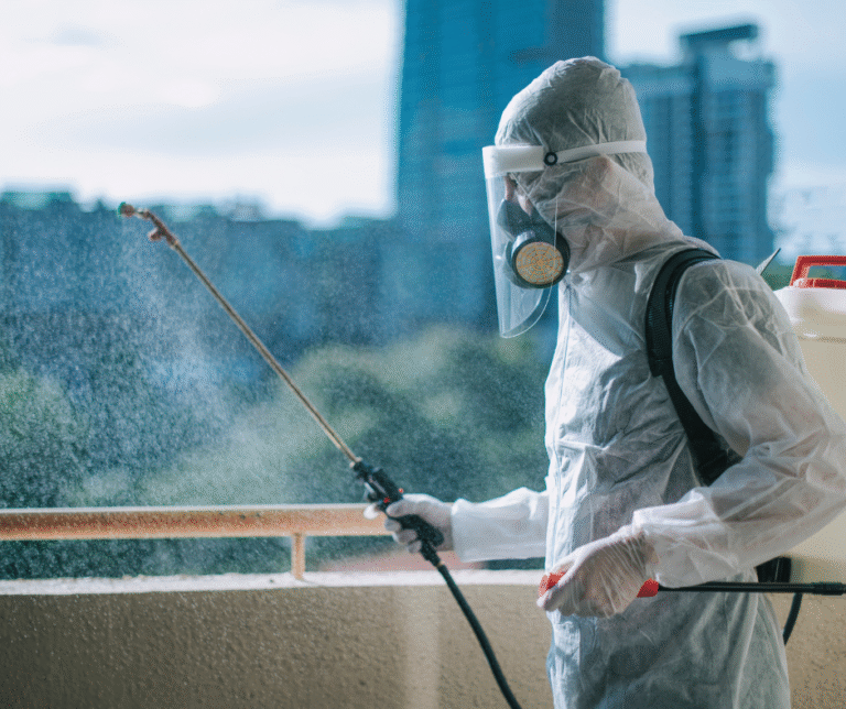 شركة مكافحة الحشرات