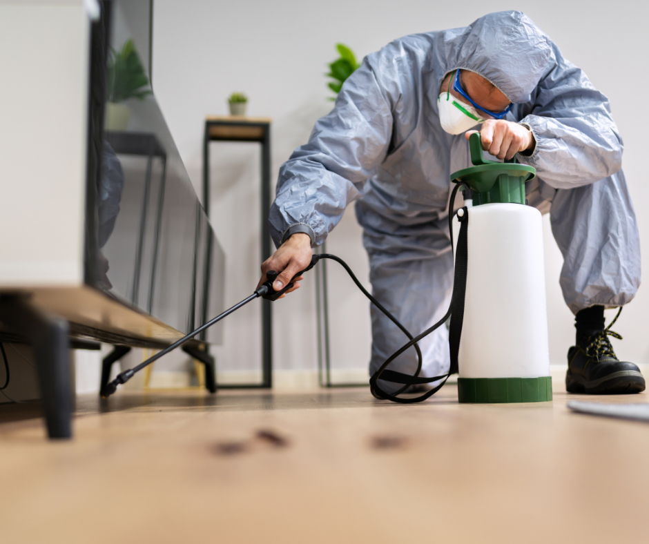 شركة مكافحة الحشرات