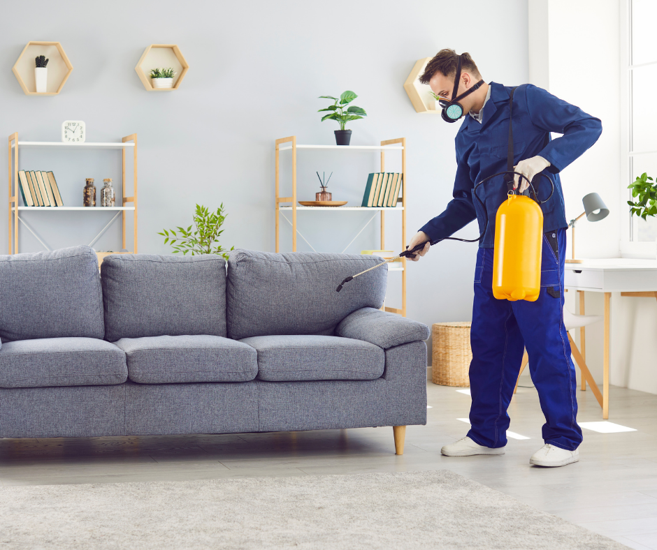 شركة مكافحة الحشرات