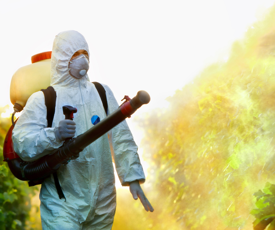 شركة مكافحة الحشرات
