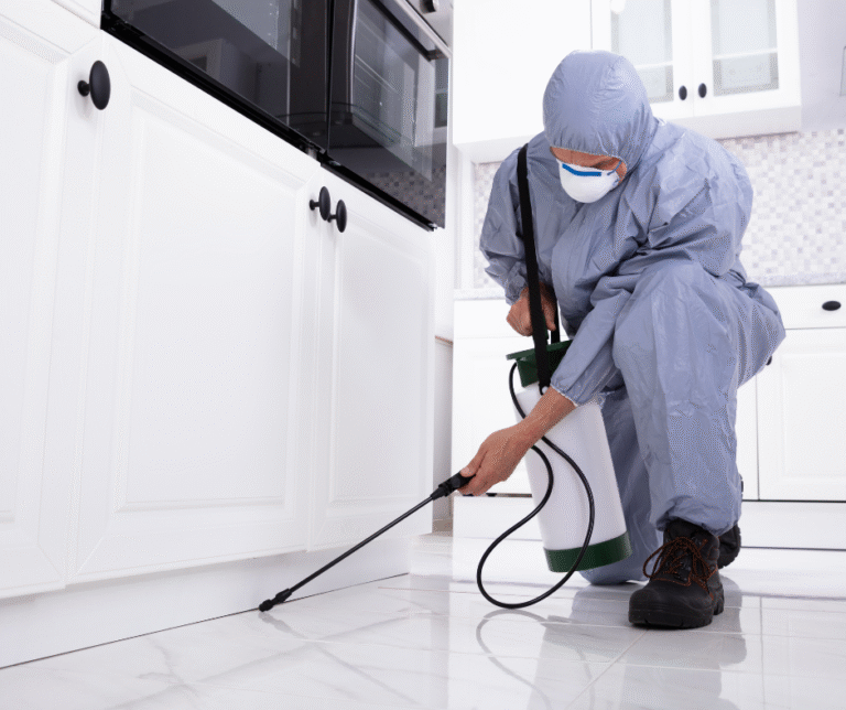 شركة مكافحة الحشرات