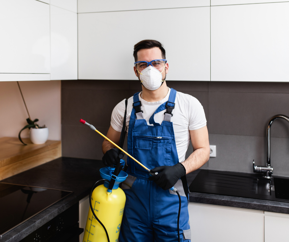 شركة مكافحة الحشرات