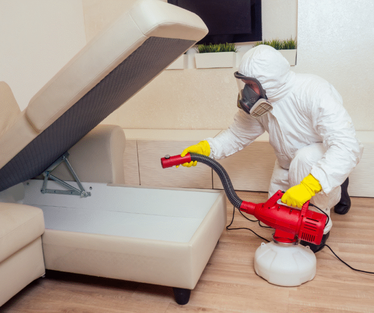 شركة مكافحة الحشرات