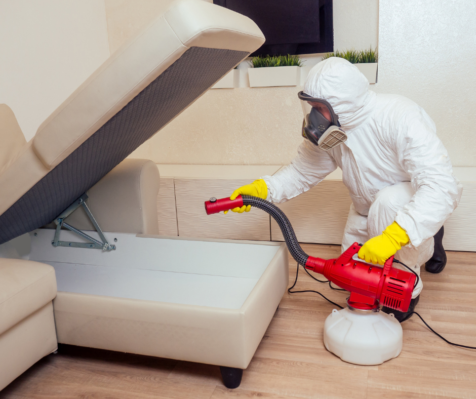 شركة مكافحة الحشرات